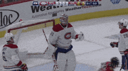 Happy Ice Hockey GIF by NHL