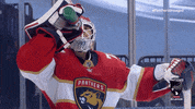 Hockey Cats GIF by Florida Panthers