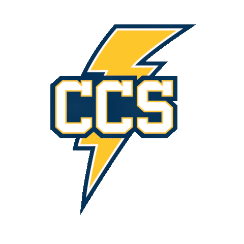 ccschargers  Sticker