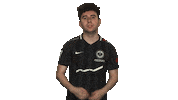 Eintracht Frankfurt Fifa Sticker by Bundesliga