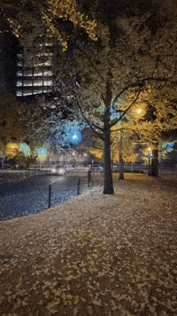 Fall Autumn GIF by EDGARDUDE
