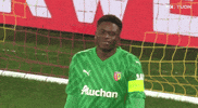 Europa League Football GIF by UEFA