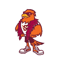 River Hawks Sunglasses Sticker by Susquehanna University