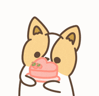 Happy Birthday GIF by corgiyolk