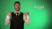 sign language angel GIF by Sign with Robert