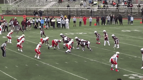 ksinclair10 giphyupload GIF