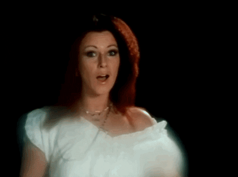 take a chance on me GIF by ABBA