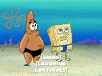 season 6 GIF by SpongeBob SquarePants