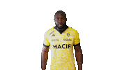 Sport Celebration Sticker by Stade Rochelais