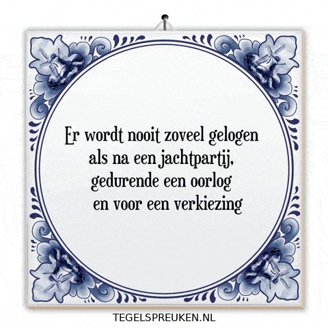 Nl Spanning GIF by Tegelspreuken.nl