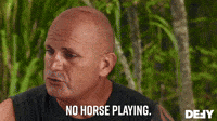 No Horse Playing