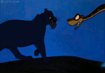 bagheera GIF