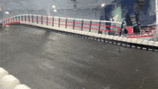 Puerto Rico Racing GIF