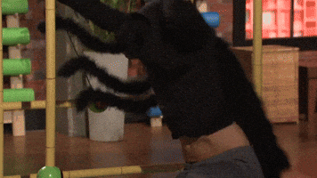 The Twisted Tarantula