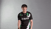 GIF by Reply Totem