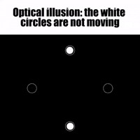 3D Moving GIF