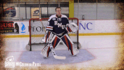 happy ice hockey GIF by Robert Morris University Athletics