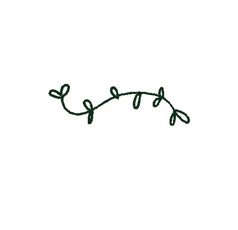 johannablaha giphyupload flower green plant Sticker