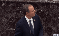 Adam Schiff GIF by GIPHY News