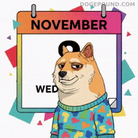Shiba Inu Mood GIF by Doge Pound