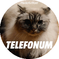 Relax Parti Sticker by mediamarkt_tr