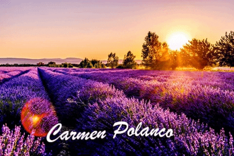 carmenpolanco1 giphygifmaker carmen polanco GIF
