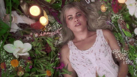 Video If I Die GIF by Maggie Koerner