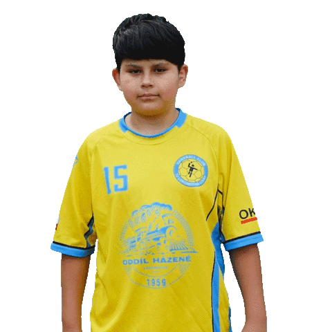 Handball Hazena Sticker by Házená Louny