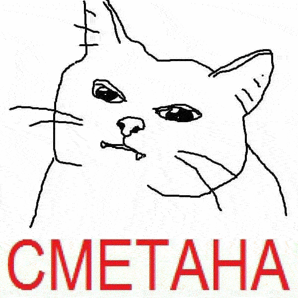 cat GIF