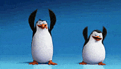 the penguin GIF