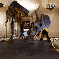 LX_GIFS dinosaur bones lx nbclx GIF