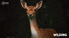 Im Out See Ya GIF by PBS