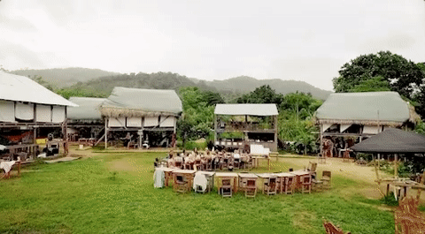 viceland GIF by JUNGLETOWN