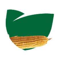 Sementes Agroceres Sticker by Agro Bayer