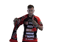 Floorball Salibandy Sticker by F-liiga