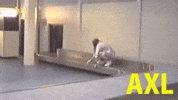 guns n roses GIF