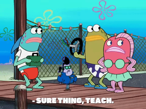 season 8 GIF by SpongeBob SquarePants