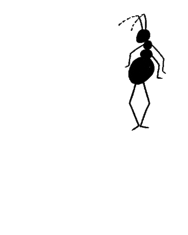 Ant Footprint Sticker by C2C NGO