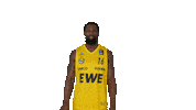 Ewe Baskets Basketball Sticker by EWE Baskets Oldenburg
