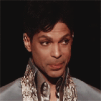 prince prn GIF