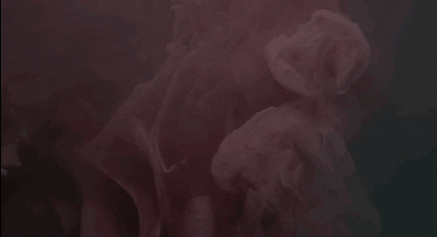sun rose GIF