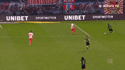 Football Sport GIF by VfL Wolfsburg