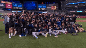 Blue Jays Baseball GIF by Toronto Blue Jays