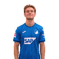 Sport Was Soll Das Sticker by TSG Hoffenheim