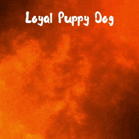 Nft Puppy Dog GIF by Digital Pratik