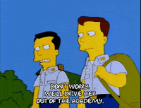 the simpsons episode 25 GIF