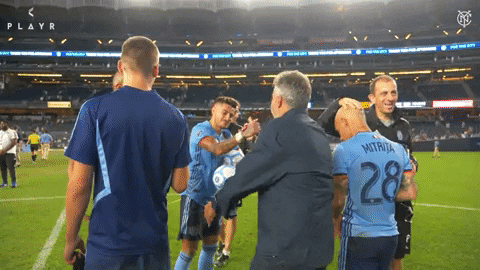 Major League Soccer Football GIF by NYCFC