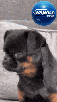 Sleepy What You Want GIF by Wahala Room