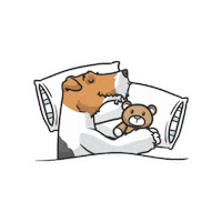 FoxieCleopatra bedtime terrier wft sleepy dog Sticker