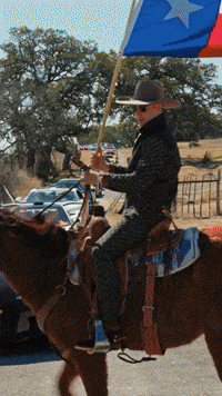 Cowboy GIF by The Exotics Network